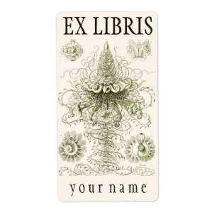 Etiqueta Bookplate de Ernst Haeckel Siphonophorae