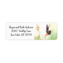 Borboleta-do-vaso-pinheira