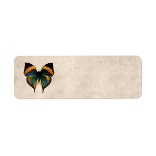 Etiqueta Borboletas da ilustração 1800's da borboleta do