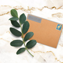 Borda Colorida Elegante Personalizada Cinza Retorn