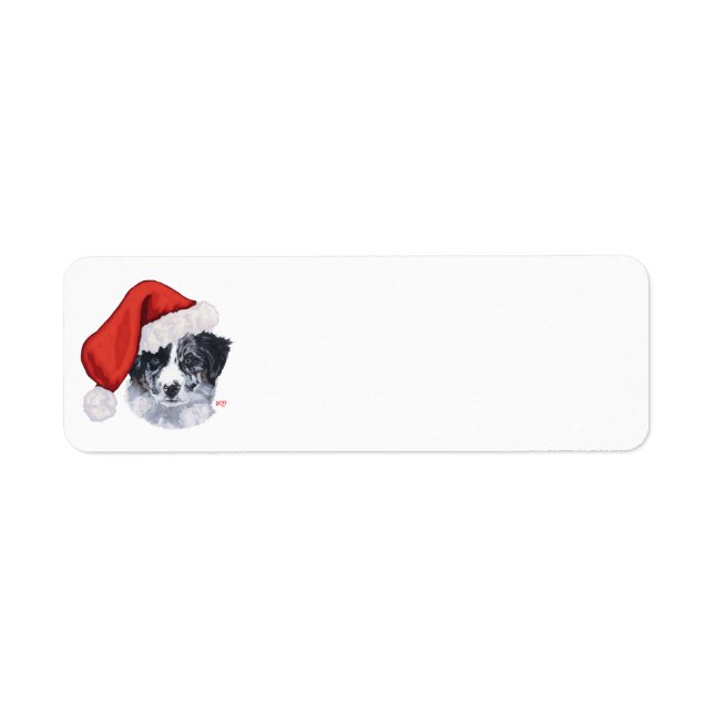 Etiqueta Border Collie Natal (Frente)
