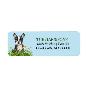 Etiqueta Boston Terrier Daffodil Garden Return Endereço