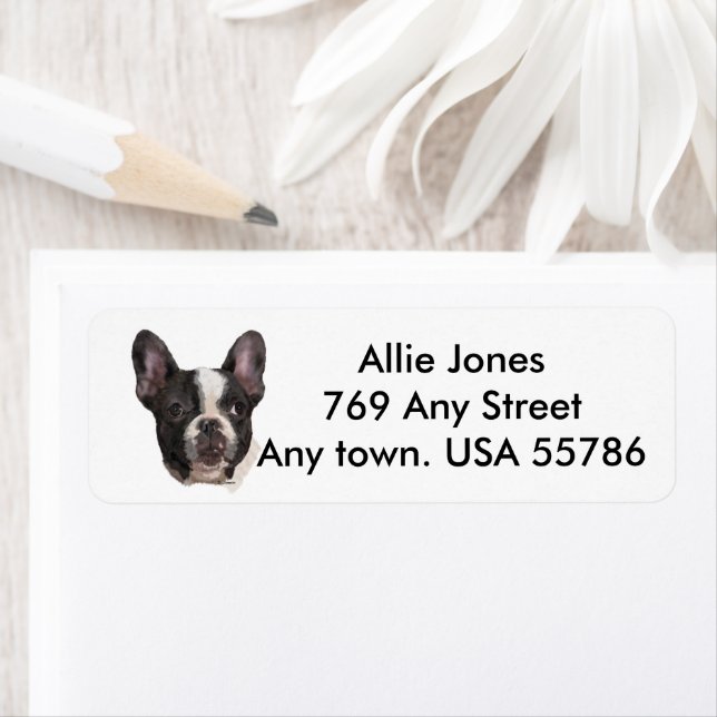 Etiqueta Boston Terrier Personalizado (Insitu)