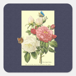 Etiqueta botânica dos rosas do vintage cor-de-ros