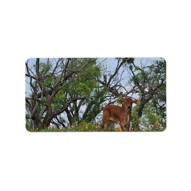 Etiqueta Brahman Calf em Flores Selvagens (Frente)