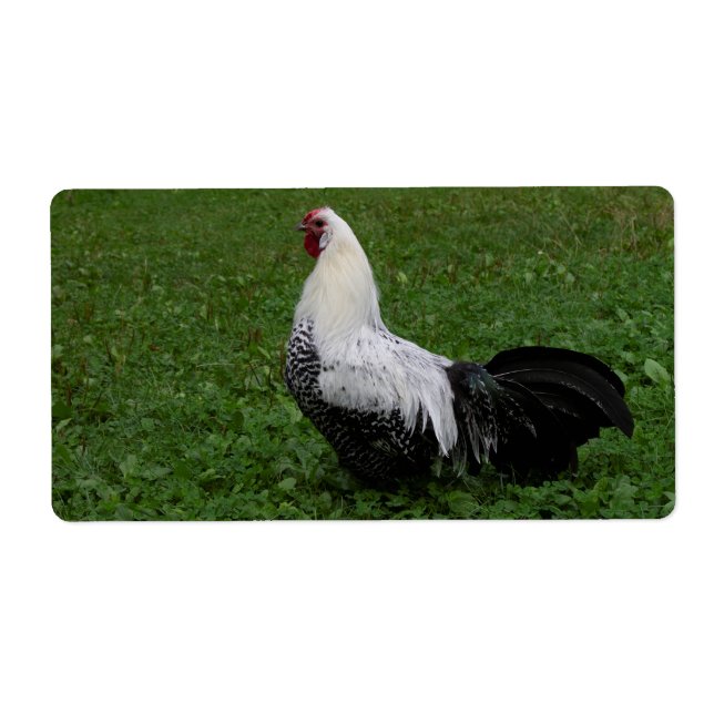 Etiqueta Brakel Hahn (Frente)