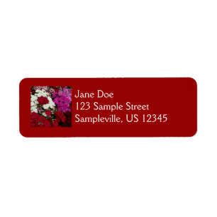 Etiqueta Branco, Rosa e Vermelho Dianthus Floral