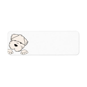 Etiqueta brandamente revestido wheten espreitar do terrier