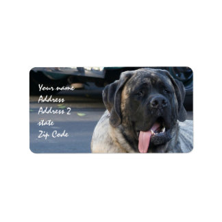 Etiqueta Brindle Mastiff Dog