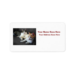 Etiqueta Brother & Sister Kitties