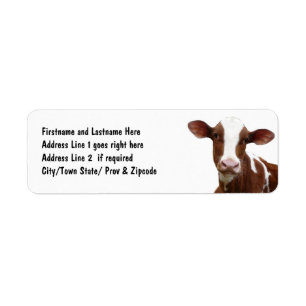 Etiqueta Brown e vaca de leiteria branca