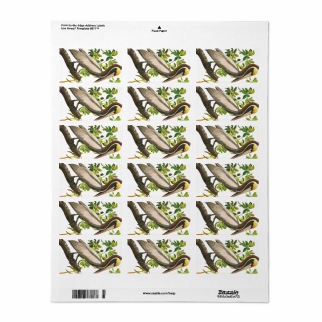 Etiqueta Brown Pelican por John James Audubon (Toda a folha)