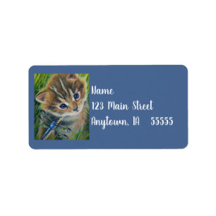 Etiqueta Brown Tabby Kitten & Dragonfly Watercolor Art
