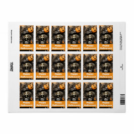 Etiqueta bruxa do Halloween com abóboras