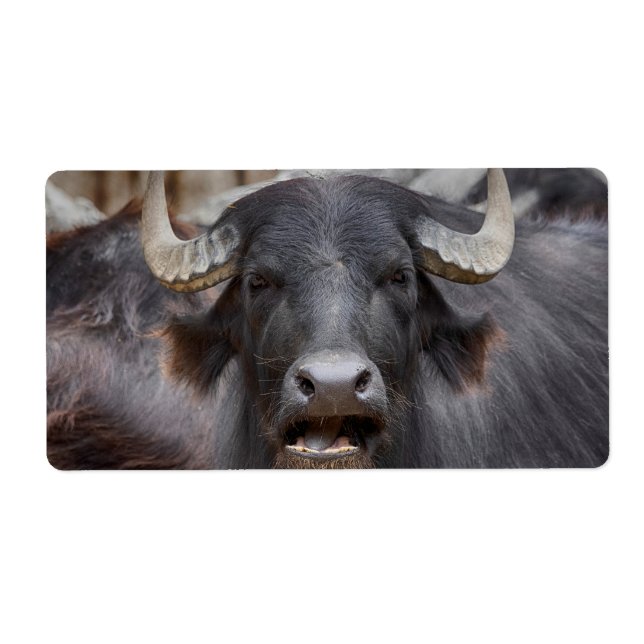 Etiqueta Bubalus bubalis (Frente)