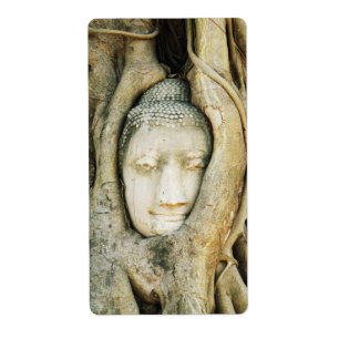 Etiqueta Buda Cabeça na Árvore Fig. Ayutthaya, Tailândia