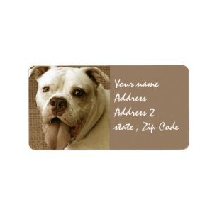 Etiqueta Buldogue americano