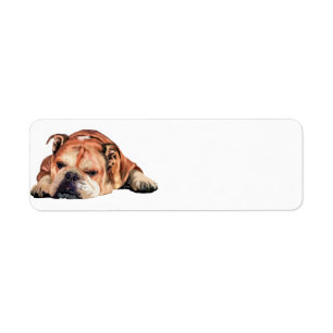 Etiqueta Buldogue inglês