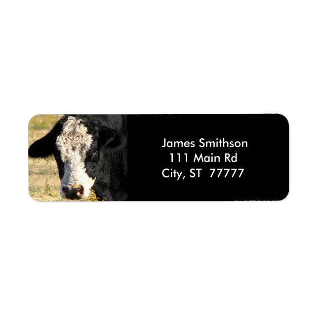 Etiqueta Bull bonito (Frente)