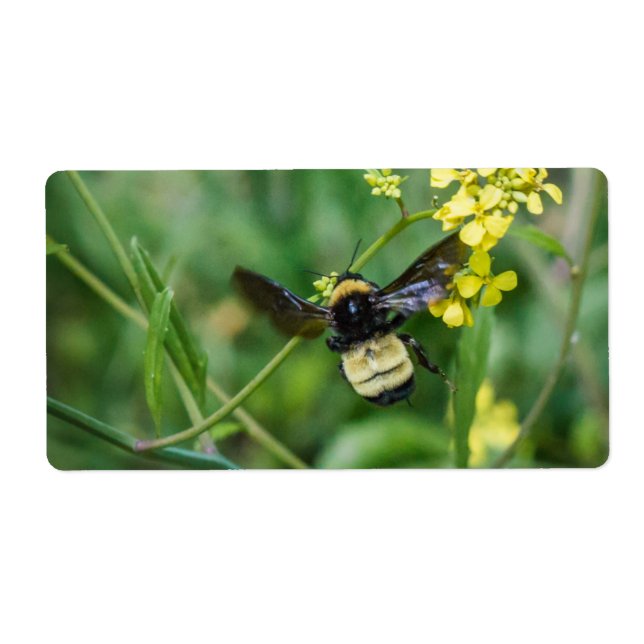 Etiqueta Bumble Bee em Voo (Frente)