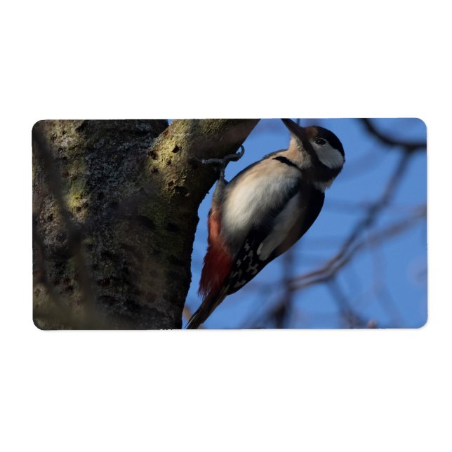 Etiqueta Buntspecht (Frente)