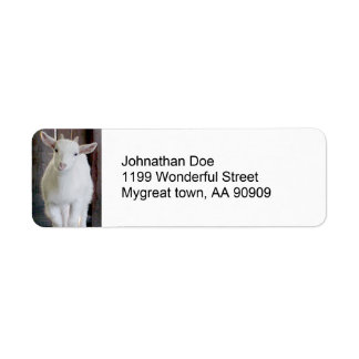 Etiqueta Cabra na Fazenda