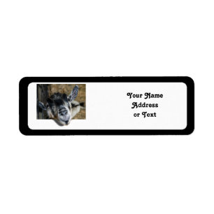 Etiqueta Cabra Nosy Olhando Para Fora