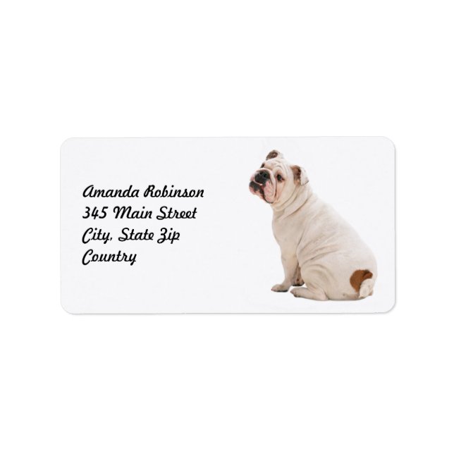Etiqueta Cachorro branco de cão bonito (Frente)