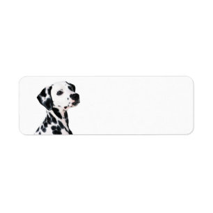 Etiqueta Cachorro Dalmaciano