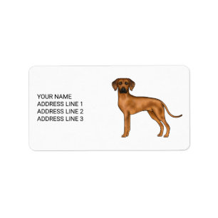 Etiqueta Cachorro Leão Africano Bonito Rhodesian Ridgeback 