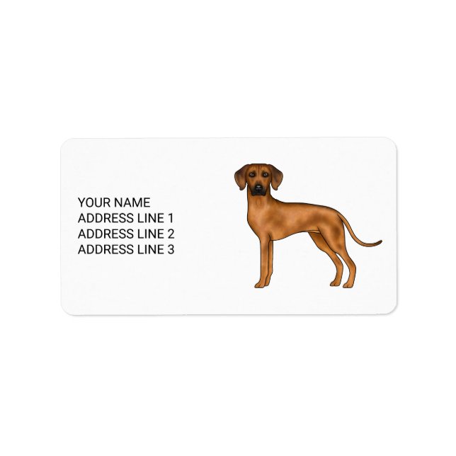 Etiqueta Cachorro Leão Africano Fofo Rhodesian Ridgeback E  (Frente)