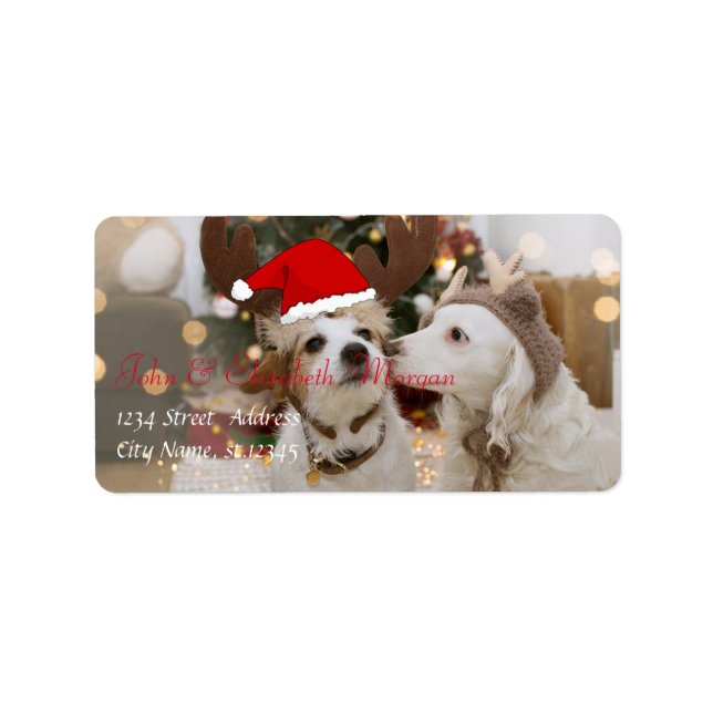 Etiqueta Cães Adoráveis Com Chapéu de Papai Noel (Frente)