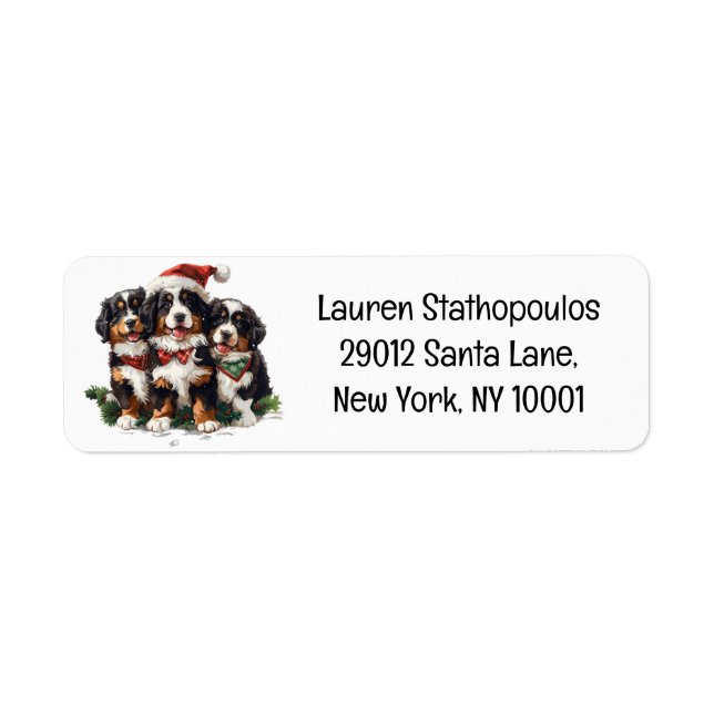 Etiqueta Cães das Montanhas Bernesas de Natal (Frente)