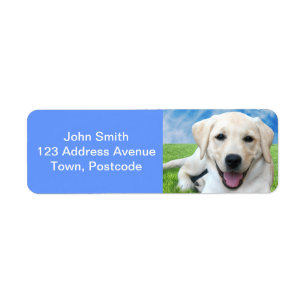 Etiqueta Cães deixam pegadas no seu coração