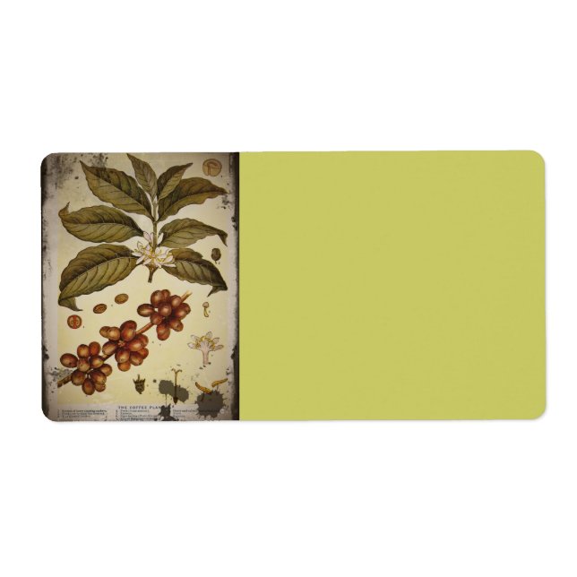 Etiqueta Café com Imagem Botânica Retroativa (Frente)