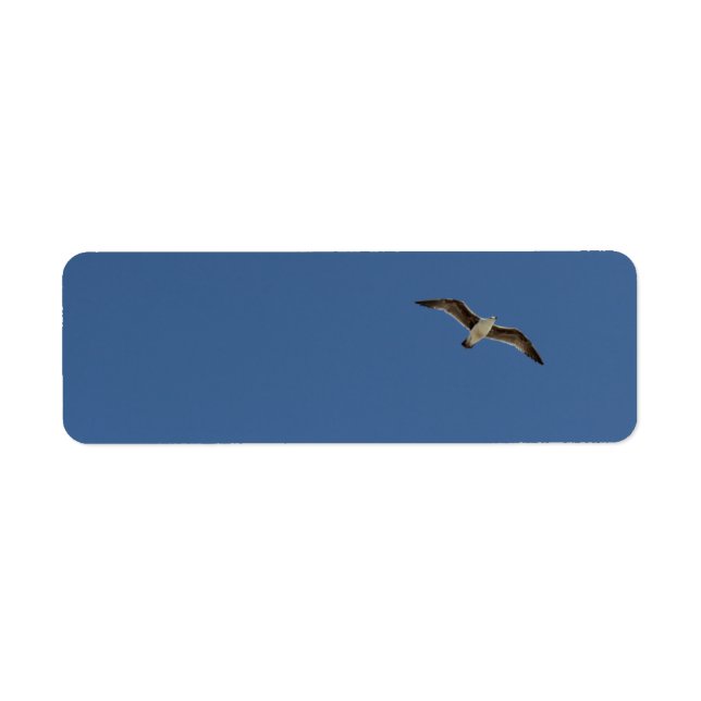 Etiqueta Caivota em voo (Frente)