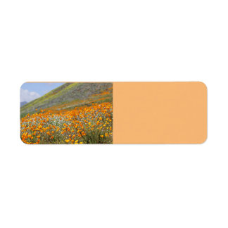 Etiqueta California Poppy Fields Devolve rótulos de endereç