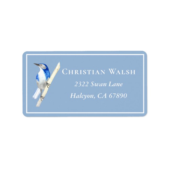 Etiqueta California Scrub Jay (Frente)