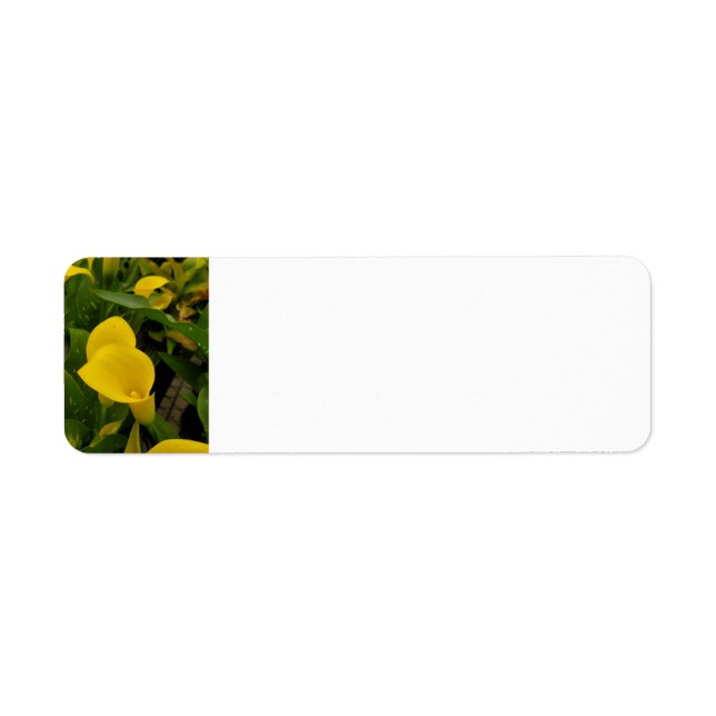Etiqueta Calla Lily (Frente)