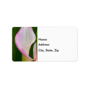 Etiqueta Calla Pano