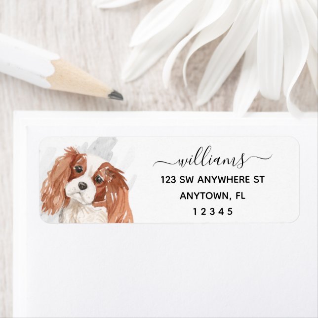 Etiqueta Calliografia Cavalier King Charles Spaniel Dog (Insitu)