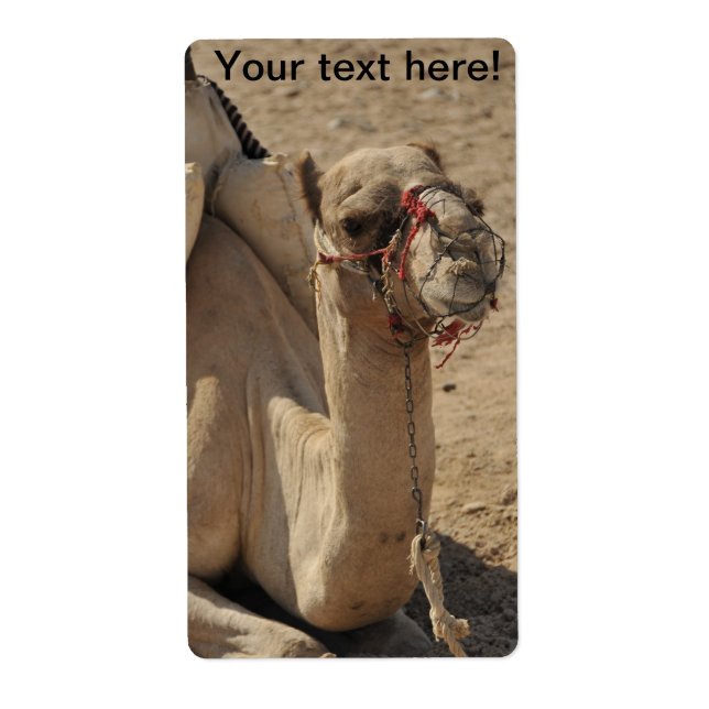 Etiqueta Camel (Frente)