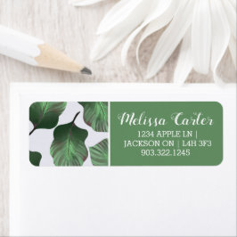 Etiqueta Canna Tropicanna Tropical Leaves, Verde