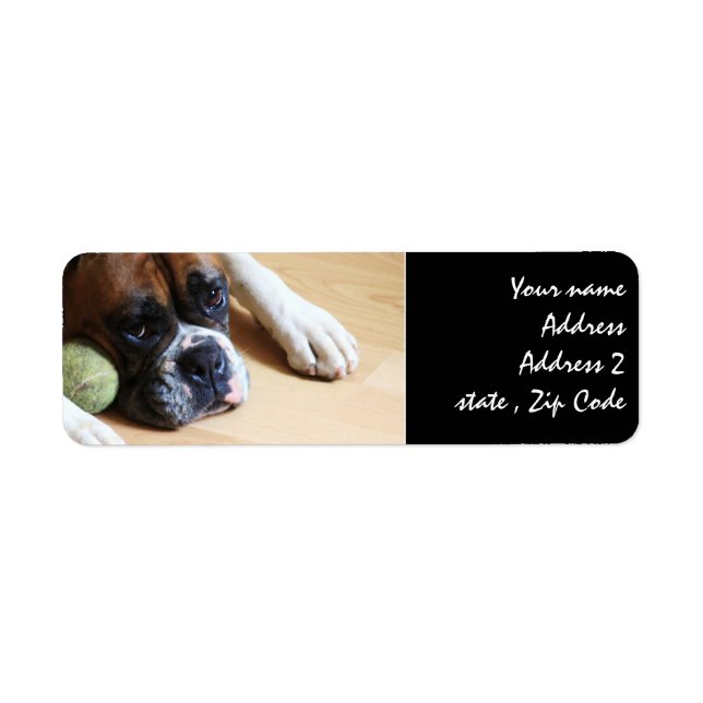 Etiqueta Cão-boxer (Frente)