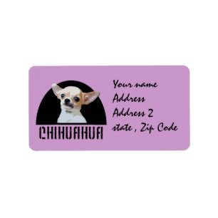 Etiqueta Cão da chihuahua