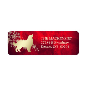 Etiqueta Cão de Montanha Bernês Dourado Vermelho de Inverno