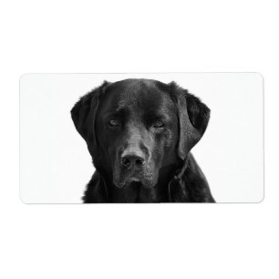 Etiqueta Cão-de-porco preto