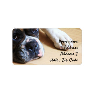 Etiqueta Cão do pugilista