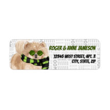 Cão Pomerano de Natal em um Endereço Scarf