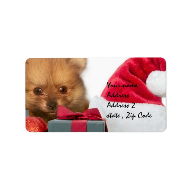 Etiqueta Cãozinho Pomeraniano (Frente)